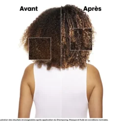 Absolut Repair Masque