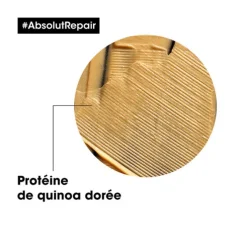 Absolut Repair Masque