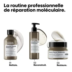Absolut Repair Molecular Masque