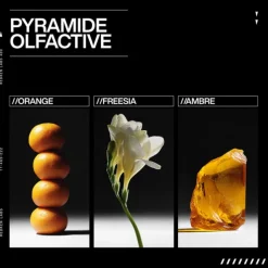 Acidic Bonding Concentrate