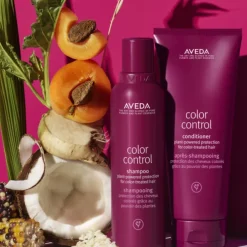Après-Shampooing Protecteur de Couleur