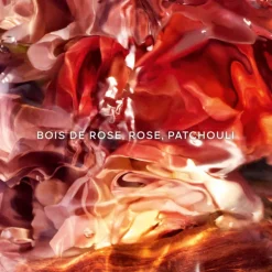 AQUA ALLEGORIA FORTE