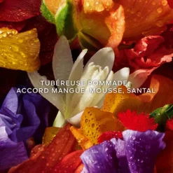 AQUA ALLEGORIA FORTE