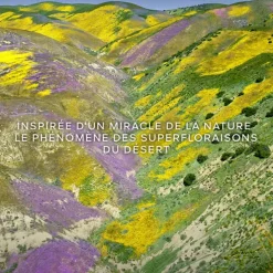 AQUA ALLEGORIA FORTE