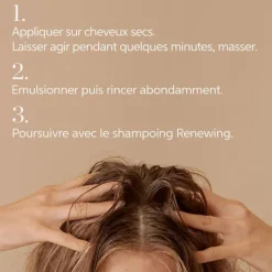 Argile Pré-Shampoing Purifiant