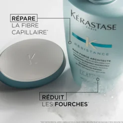 Bain Force Architecte