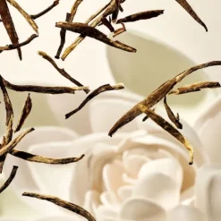 Crème Pour Le Corps