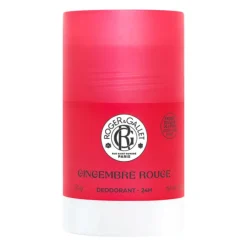 Déodorant Stick Bienfaisant 24H