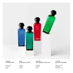 Eau de Basilic Pourpre