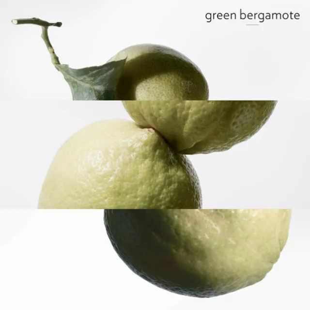 Eau de Basilic Pourpre