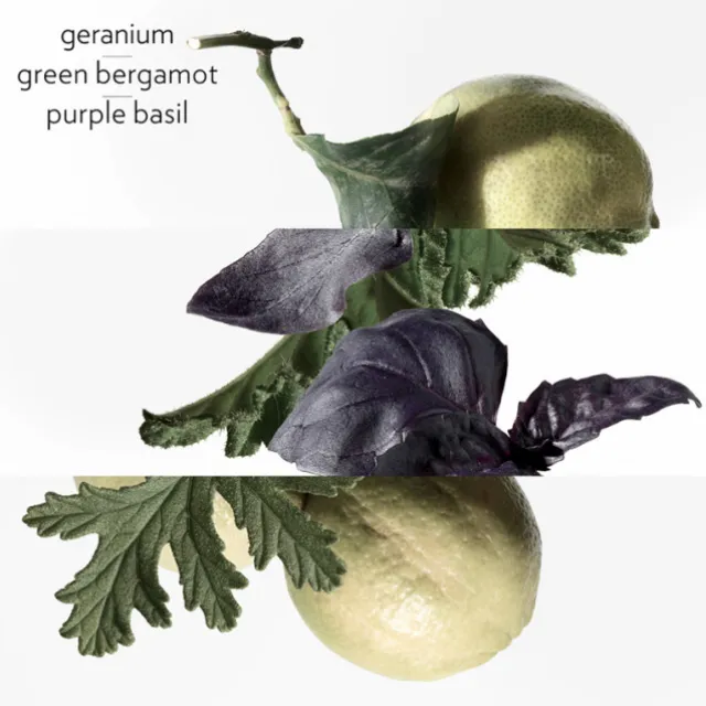 Eau de Basilic Pourpre