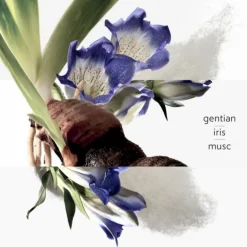 Eau de Gentiane Blanche