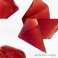 Eau de Mandarine Ambrée