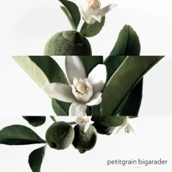 Eau de Néroli Doré