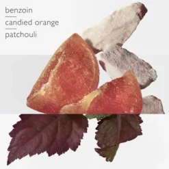 Elixir des Merveilles