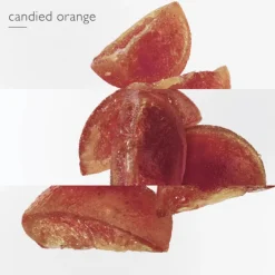 Elixir des Merveilles