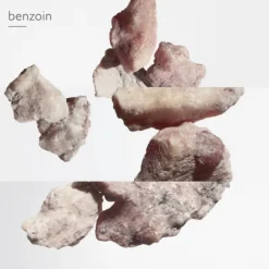 Elixir des Merveilles