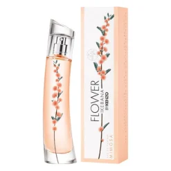 FLOWER IKEBANA MIMOSA BY KENZO