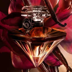 La Nuit Trésor Vanille Noire