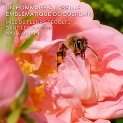 La Petite Robe Noire Honey Rose