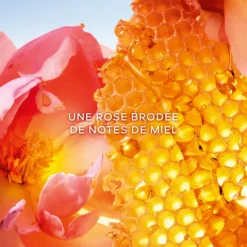 La Petite Robe Noire Honey Rose