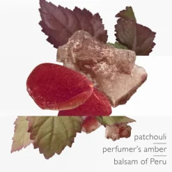 L'Ambre des Merveilles