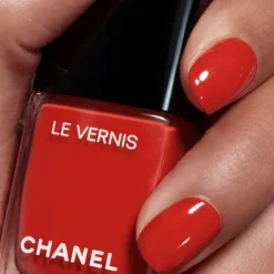LE VERNIS