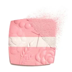 LES SIGNES DE CHANEL