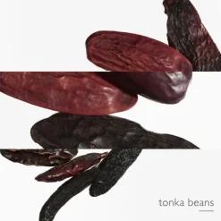 L'Ombre Des Merveilles