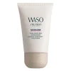 Masque Purifiant