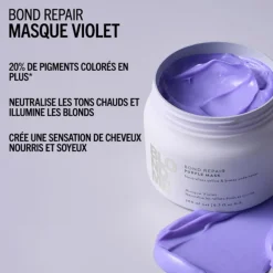 Masque Violet