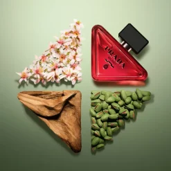 Paradoxe Radical Essence