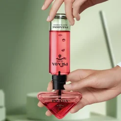 Paradoxe Radical Essence