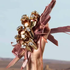 Q By Dolce & Gabbana