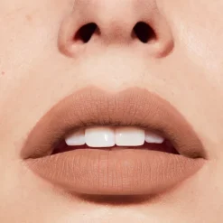 Rouge Velvet The Lipstick