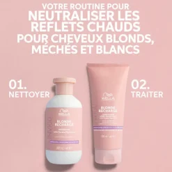Shampoing Raviveur de Couleur