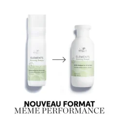 Shampoing Renewing Sans Sulfate