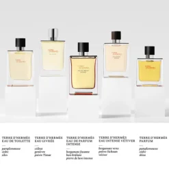 Terre d'Hermès Eau Intense Vétiver