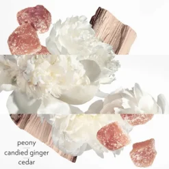 Twilly d'Hermès Eau Ginger