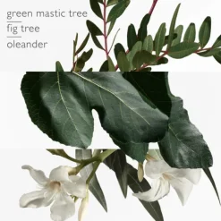 Un Jardin en Méditerranée