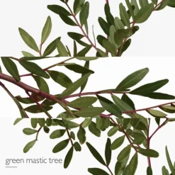 Un Jardin en Méditerranée