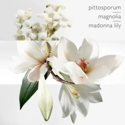 Un Jardin sur la Lagune