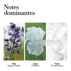 White Tea Eau de Toilette